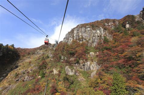 迪奧口紅推薦 絕美TOP10色號公開 一抹打造漫畫玻璃唇、貴氣富 